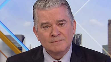 Paul Mauro Wikipedia